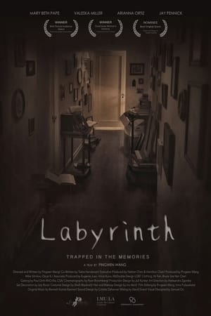 Poster Labyrinth 2016