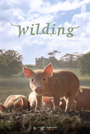 Wilding 3