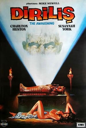 Poster The Awakening 1980