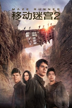 Image 移动迷宫2