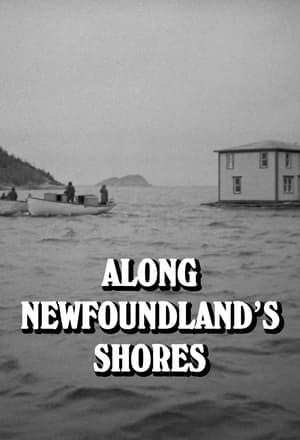 Image Along Newfoundland's Shores