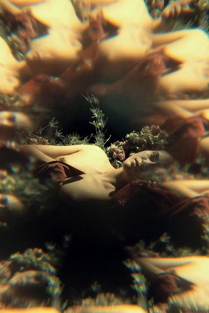 ¡Parásito!