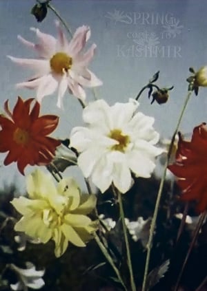 Poster Spring Comes to Kashmir (1956)