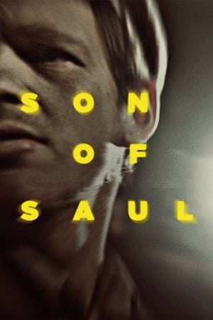 Poster Son of Saul 2015