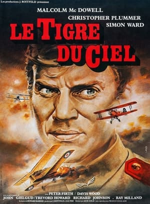 Poster Le Tigre du ciel 1976