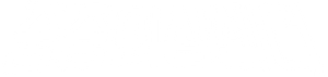 Ảnh 41
