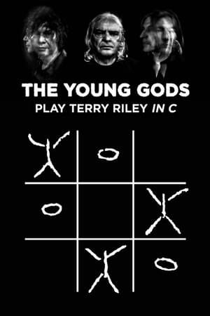 Image The Young Gods Play Terry Riley In C