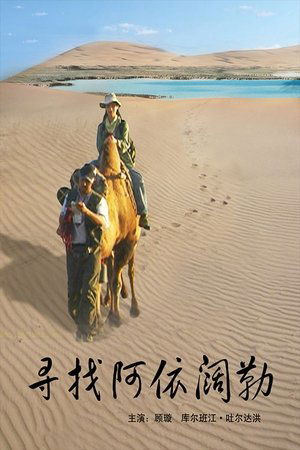 Poster 寻找阿依阔勒 (2009)