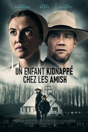 voir film Un enfant kidnappé chez les Amish streaming vf