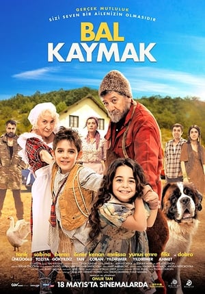 Poster Bal Kaymak 2018