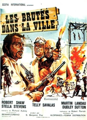 Poster Les Brutes dans la Ville 1971