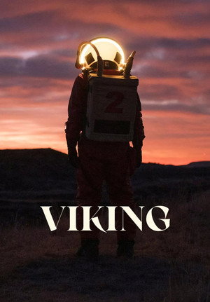Viking 25