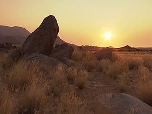 Wildest Africa Namibia: The Sands of Time