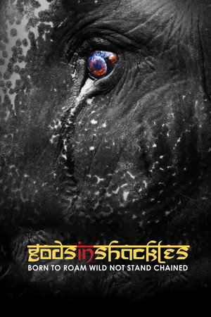 Gods in Shackles