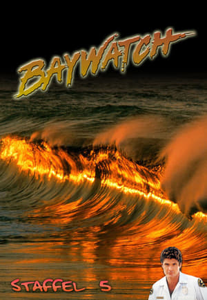 Baywatch: Staffel 5