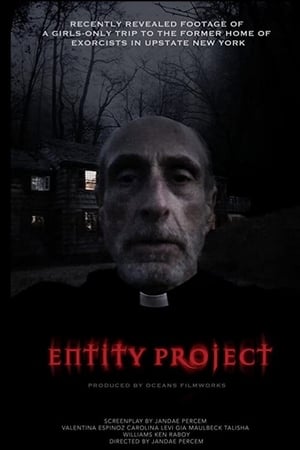 Poster Entity Project (2019)