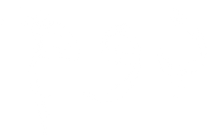DOM — Logos 6