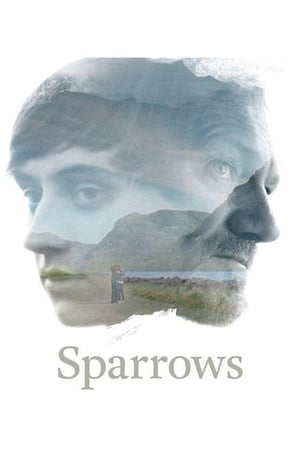 Poster Sparrows 2015