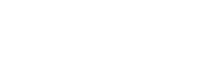 Джентльмены, удачи! — Logos 1