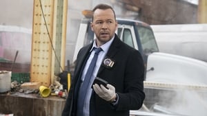 Blue Bloods Family Secrets