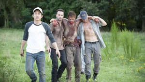 The Walking Dead: 2×5