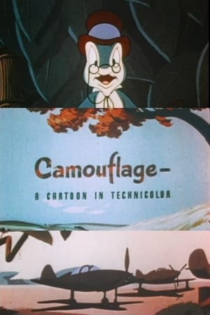 Image Camouflage