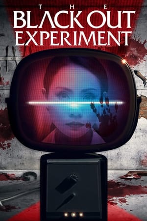 Poster The Blackout Experiment (2021)