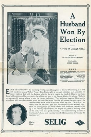 Poster A Husband Won by Election 1913