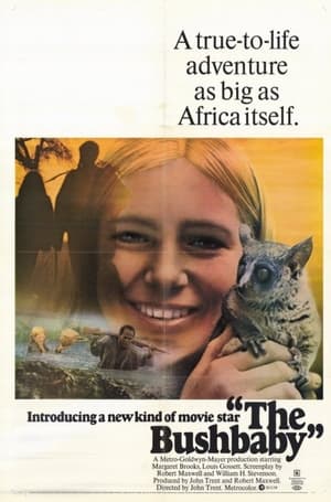 Poster The Bushbaby (1969)