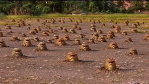 The Good Dinosaur Khmer Dubbded (2015)