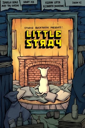 Poster Little Stray 2023