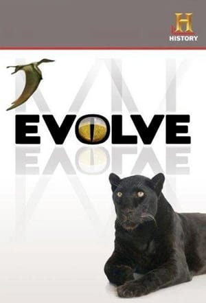 Poster Evolve Сезон 1 Эпизод 6 2008