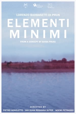 Poster di Elementi Minimi