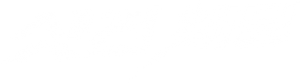 샷건 웨딩
