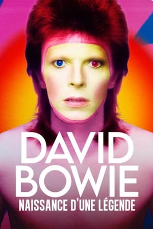 Poster David Bowie : naissance d'une legende 2019