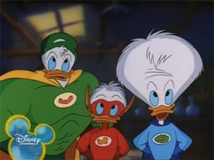 Quack Pack: 1×1