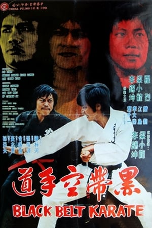 Poster Black Belt Karate 1977