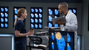 Grey’s Anatomy 14 – Episodio 21