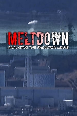 Poster Meltdown:  Analyzing the Radiation Leaks (2014)