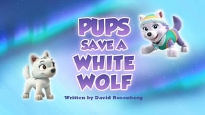 PAW Patrol Pups Save a White Wolf