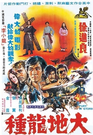 Poster Fury In Storm (1974)