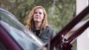 Sharp Objects: 1×8