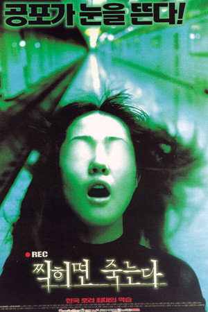 The Record 12
