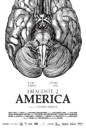 Poster Dragoste 2. America 2018
