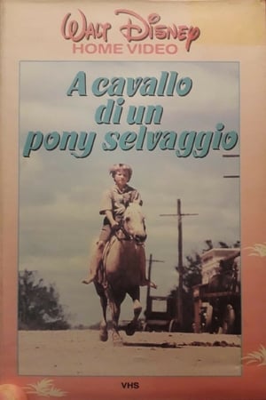 Image A Cavallo di un Pony Selvaggio