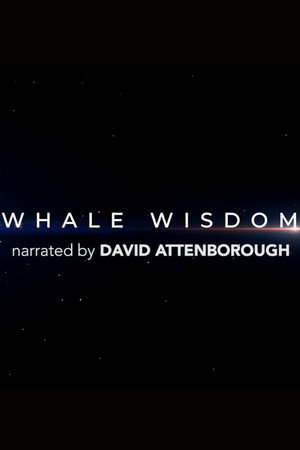 Whale Wisdom 6