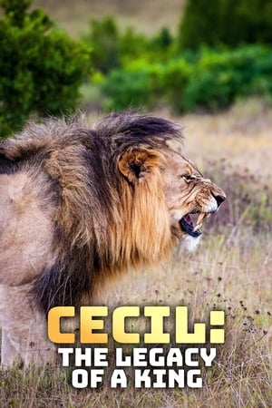 Poster Cecil: The Legacy of a King (2020)