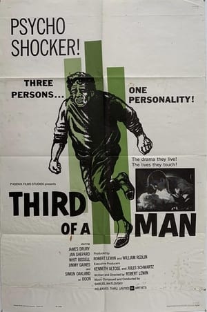Poster Third of a Man 1962