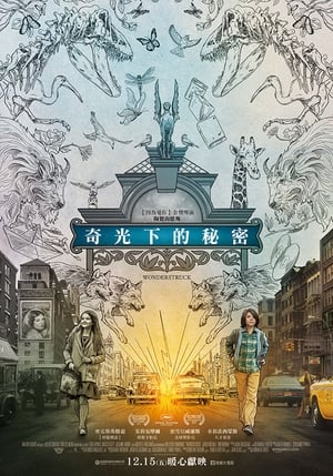 Poster 寂静中的惊奇 2017