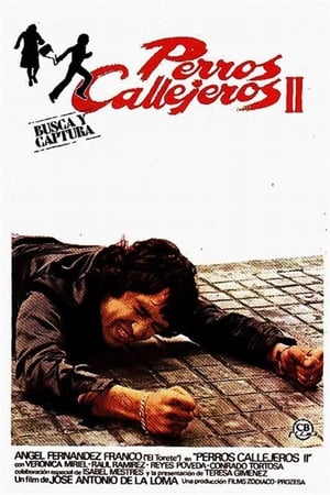 Poster Perros callejeros II 1979